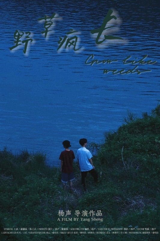 Grow Like Weeds - Chinese Drama short film - Chinese - Drama - Shortfilm
