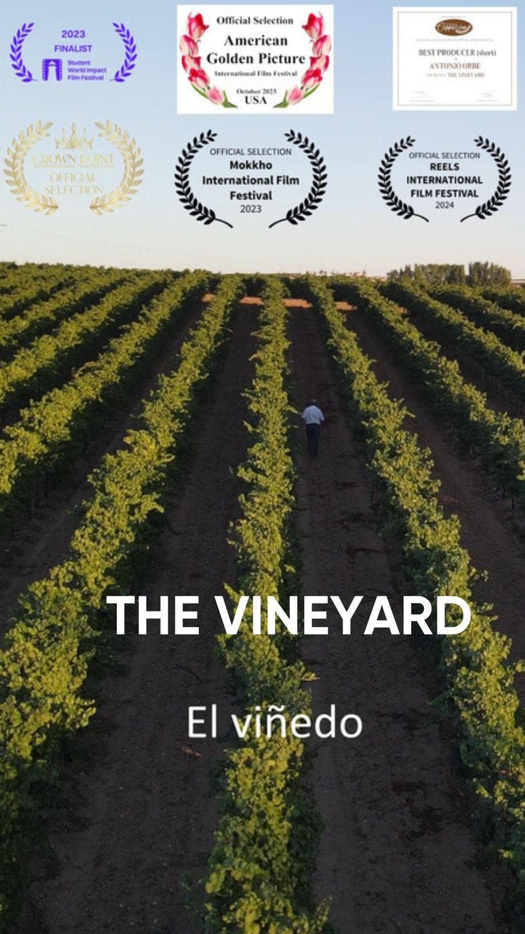 The Vineyard - Spanish - Shortfilm - Spanish - Drama - Shortfilm