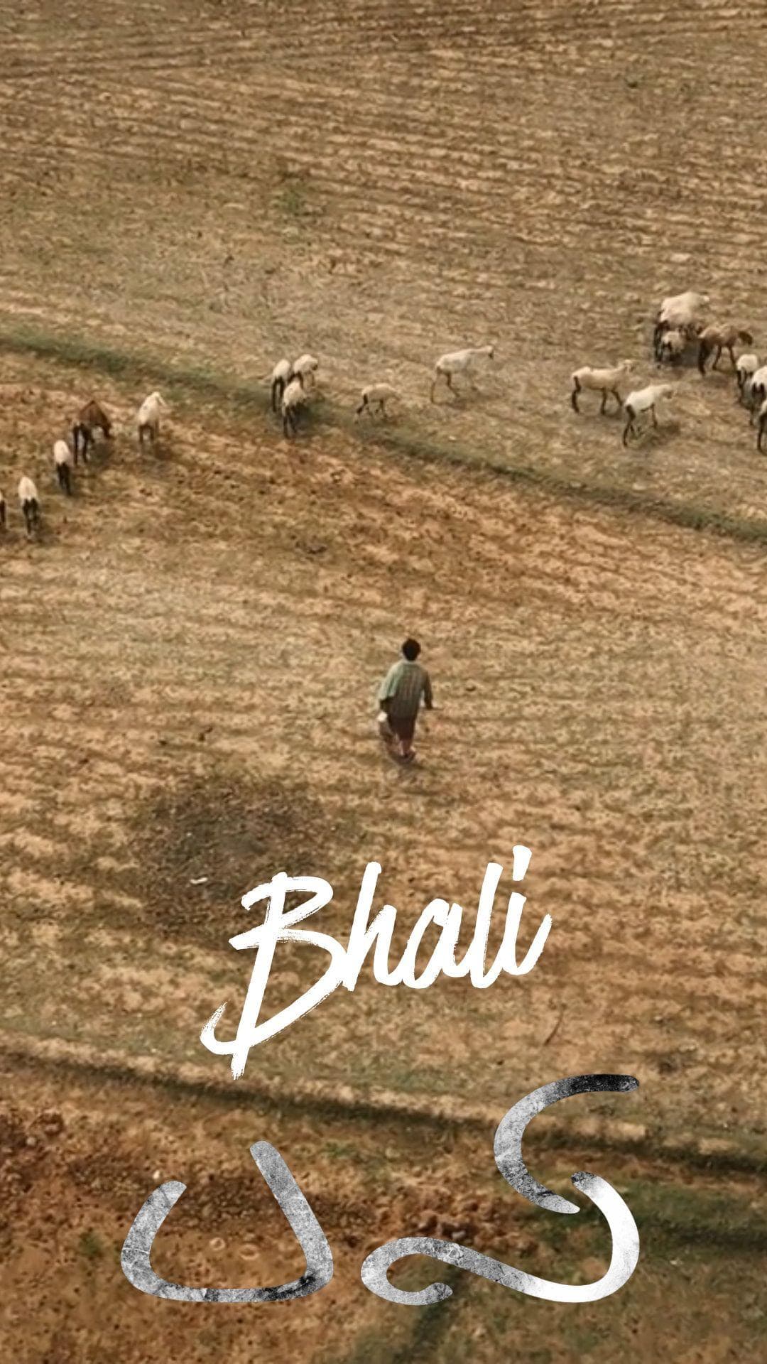 Bhali - Tamil- Drama - Shortfilm - Tamil - Drama - Shortfilm