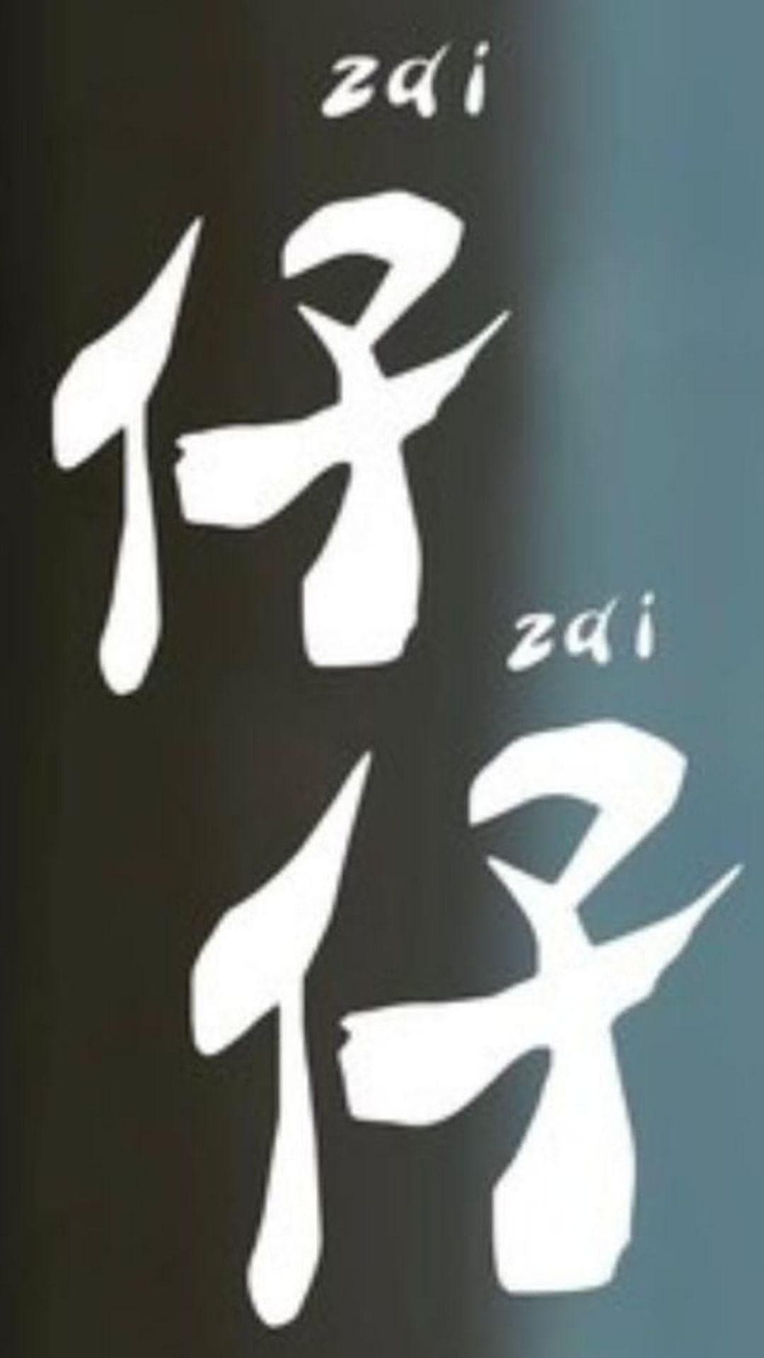 Zaizai - Mandarin Chinese Documentary Short film - Chinese - Biography / Documentary - Shortfilm