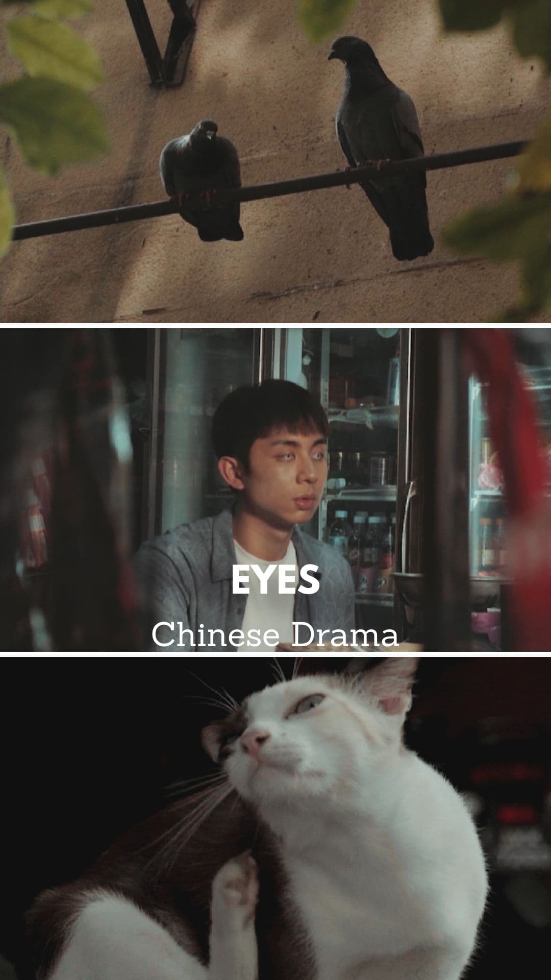 Eyes - Chinese Drama Short film - Chinese - Drama - Shortfilm